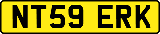 NT59ERK