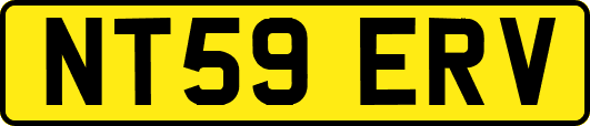 NT59ERV