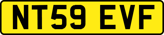 NT59EVF