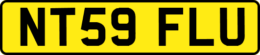 NT59FLU