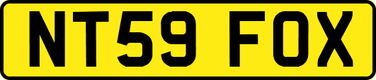 NT59FOX
