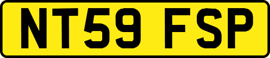 NT59FSP