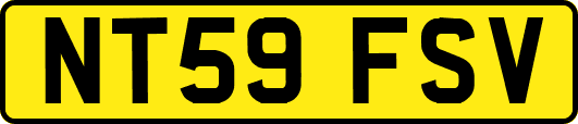 NT59FSV
