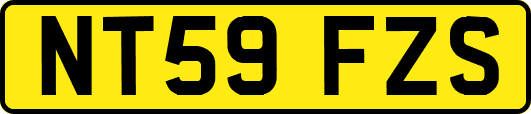 NT59FZS