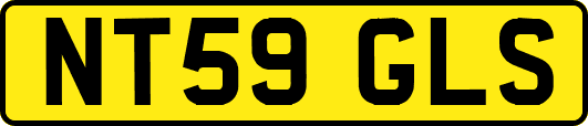 NT59GLS