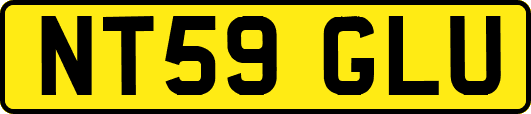 NT59GLU