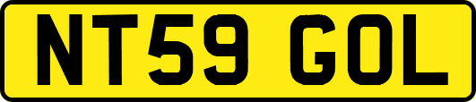 NT59GOL