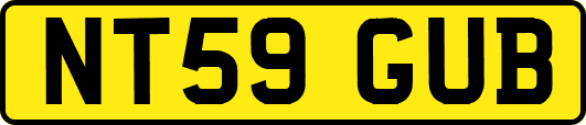 NT59GUB