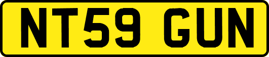 NT59GUN