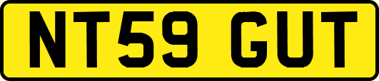 NT59GUT
