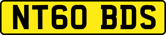 NT60BDS