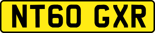 NT60GXR