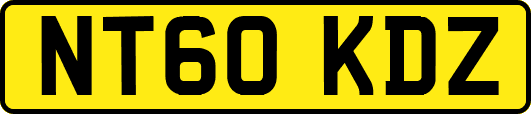 NT60KDZ