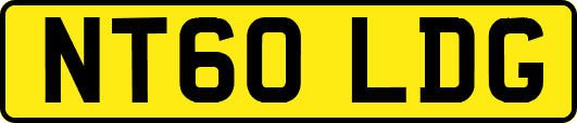 NT60LDG