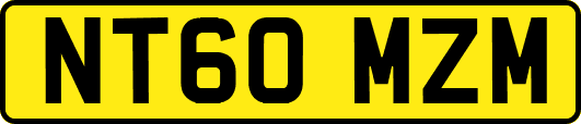 NT60MZM