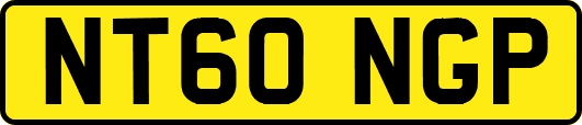 NT60NGP