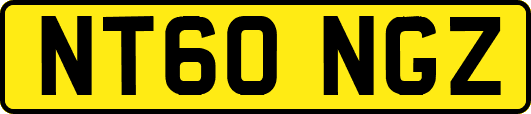 NT60NGZ