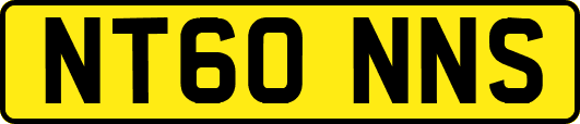 NT60NNS