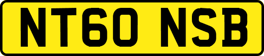 NT60NSB