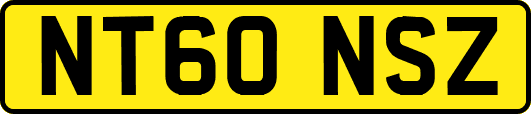 NT60NSZ