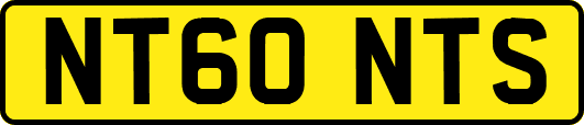 NT60NTS