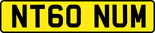 NT60NUM