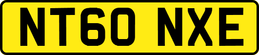 NT60NXE