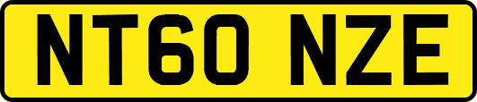 NT60NZE