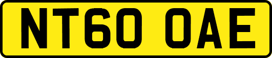 NT60OAE