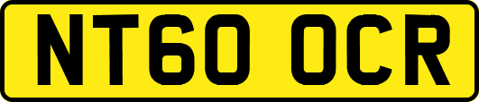NT60OCR