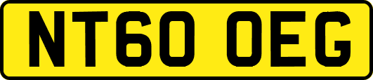 NT60OEG