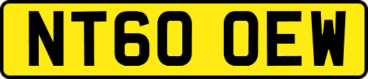 NT60OEW