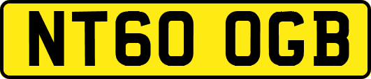 NT60OGB