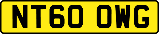 NT60OWG