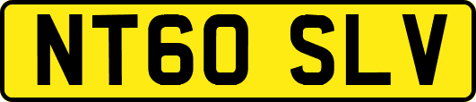 NT60SLV
