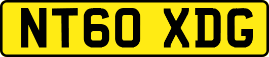 NT60XDG