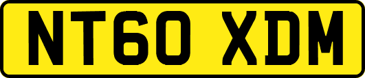 NT60XDM