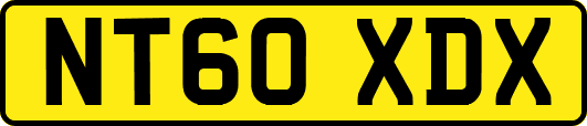 NT60XDX