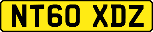 NT60XDZ