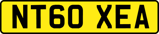 NT60XEA