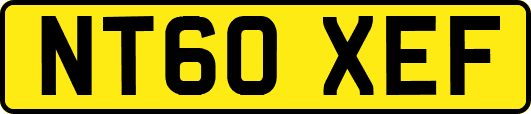 NT60XEF