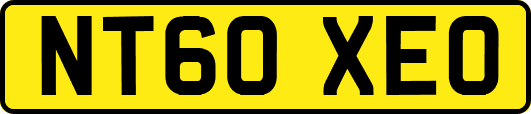 NT60XEO