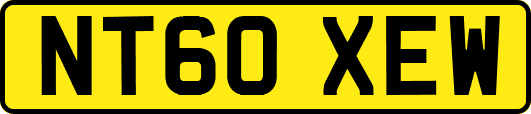 NT60XEW