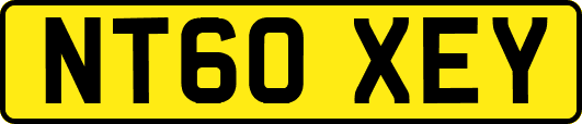 NT60XEY