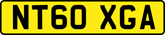 NT60XGA