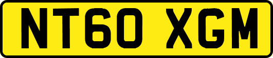 NT60XGM