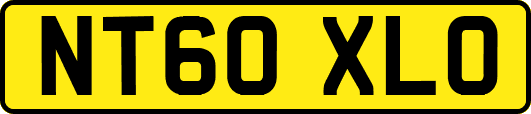 NT60XLO