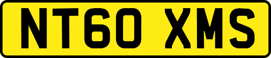 NT60XMS