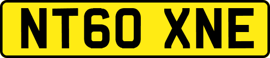 NT60XNE