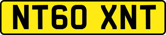 NT60XNT